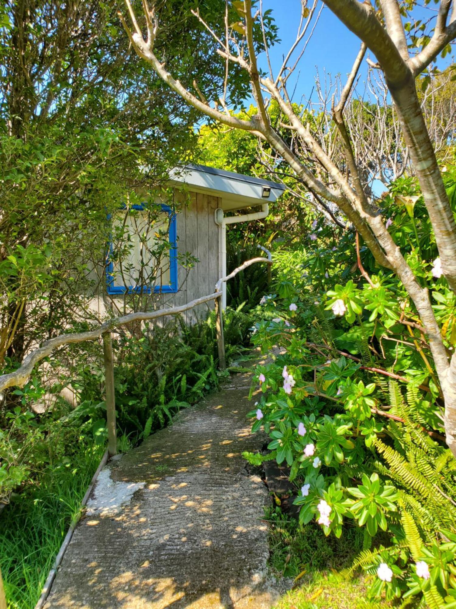 Rawhiti Cottage At Kaeppeli'S Kuaotunu Exteriér fotografie